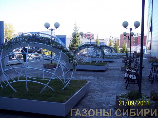 Байкальский Экономический Форум1